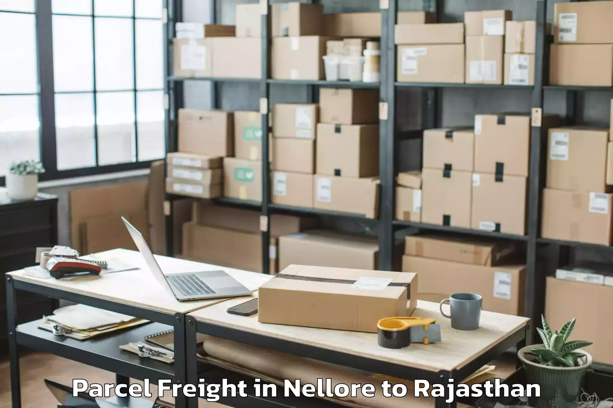 Book Nellore to Bhindar Parcel Freight